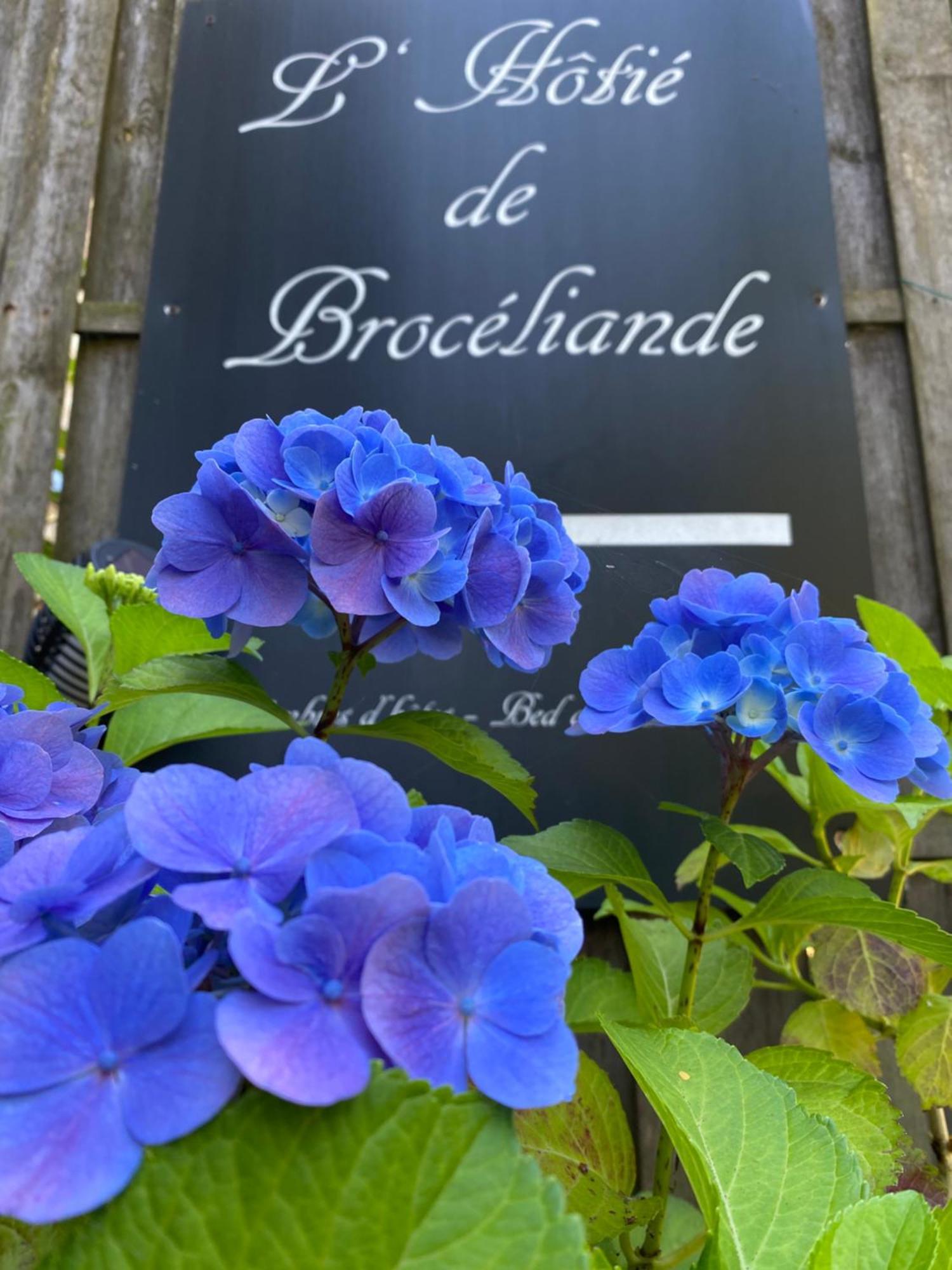 L'Hotie De Broceliande, Au Coeur Des Sites Naturels Et Legendaires Пемпон Екстер'єр фото
